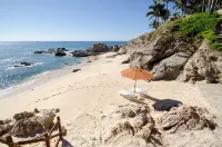 Casa Encanto Palmilla CaletaOceanfront Fully Staffed Chef Bartender Maid - 別墅