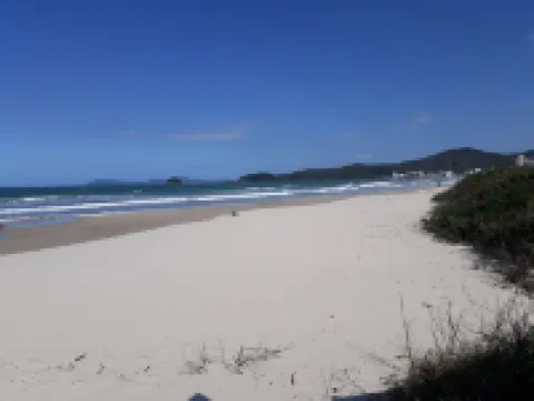 Palmas 80 m from the sea