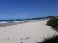 Palmas 80 m from the sea