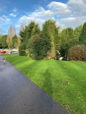 Kellysholidayhomes, Atlas, 3 bedroom Caravan, surrounded by nature