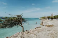 Bella Horizonte - Beachfront 7 - Villas