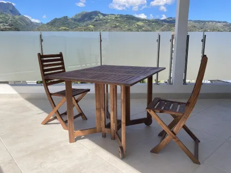 New luxury apartment F3 secure fully equipped air conditioning wifi terrace view 2 parking