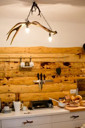 Chalet Foresthouse, Chalet, only 25 minutes to Salzburg, garden, sauna, whirlpol