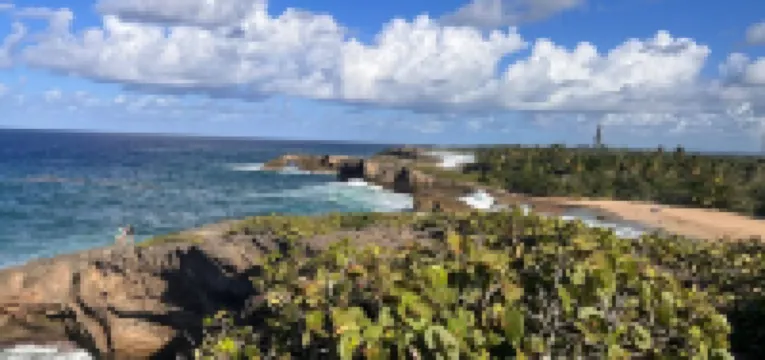 Quiet cozy 1 bedroom 1 bathroom just 2 blocks from beautiful beaches!