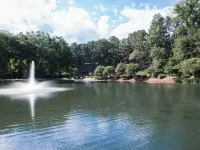 Fully Furnished 1Bedroom Apartment in Brookhaven New to Emory/children hospital Hotels in North Druid Hills