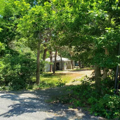 Mid Century 3 bedroom house in private wooded setting... Hotels near Pamet Area Trails