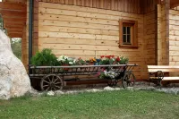 Apartma pod Skalco Planika