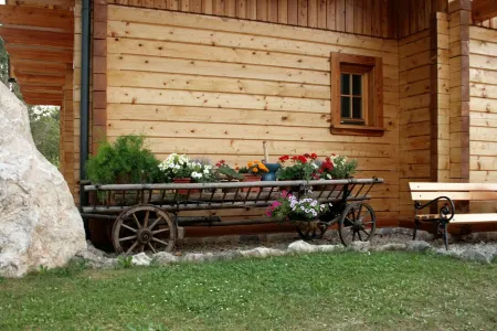 Apartma pod Skalco Planika