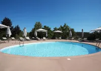 Montebelo Principe Perfeito Viseu Garden Hotel - Pools