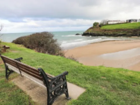 Sea Rose Hotels in Cardigan