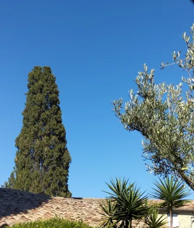 Logis Hotel Restaurant l'Esquielle Отели в г. Гажан