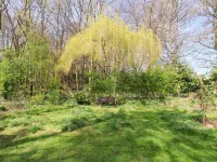 Cupid's Cottage Hotels in Carnaby