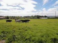 Heron Nest Hotels in Burniston