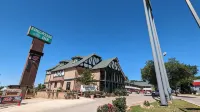 Edelweiss Inn New Braunfels - Kæledyr tilladt