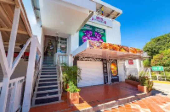 Ayenda Orquidea 19 Hotels in 