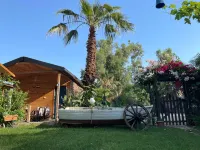 Daidala Life Hotels in İnlice