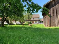 Landgasthof Blasini - Pfahlhof Hotels in Chammunster