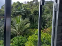 Casa De Praia Ubatuba Hotels near Ilha das Couves, Ubatuba SP