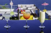 Hotel la Magdalena Adult Only - bar