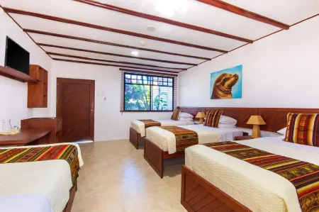 Arena Blanca Eco Hotel Отели рядом с достопримечательностью «Cerro de las Tijeretas»