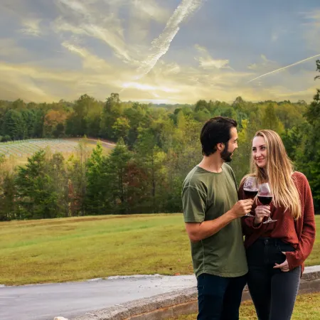 Dahlonega Resort and Vineyard