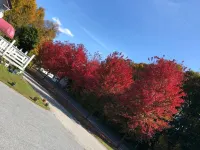 The Autumn Inn Hotels in Bennington