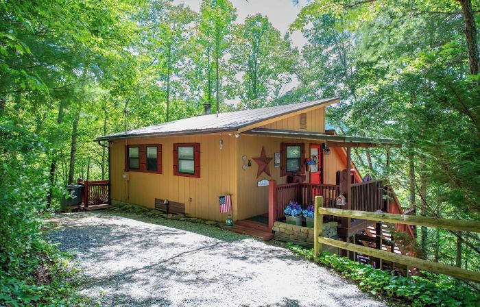 Mountain Views Hot Tub Family Cabin