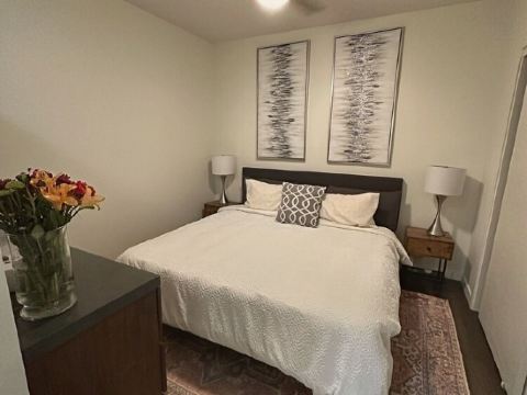 LODO 1-bedroom Designer Apartment Meets Mile High Charm
