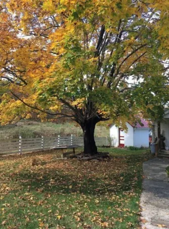 Mark of Design Farmhouse Retreat