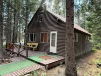 Cozy Cabin in the Woods.  25 minutes to Yellowstone National Park