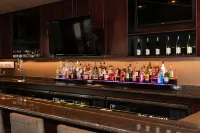 米德蘭希爾頓花園酒店 - 酒吧
