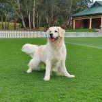 BJ Holiday House Hotels in Chittaway Bay