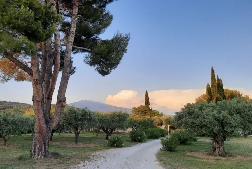 Magnificent villa with pool and view Hotels in Caromb