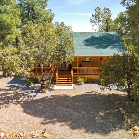 Charming 2-bedroom Cabin with WiFi, Wood Stove and AC in serene Heber-Overgaard!