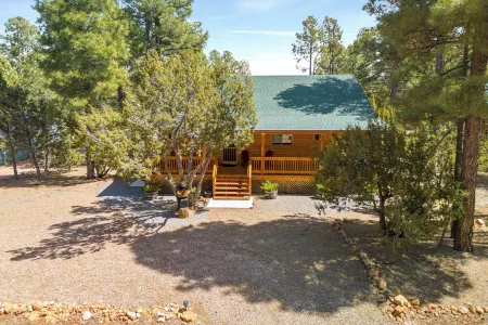 Charming 2-bedroom Cabin with WiFi, Wood Stove and AC in serene Heber-Overgaard!