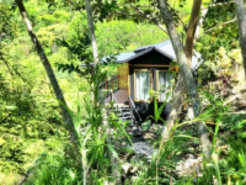 Riverfront Cabin: Stunning Views : 20 Minutes to the SJO Airport ! 巴西酒店