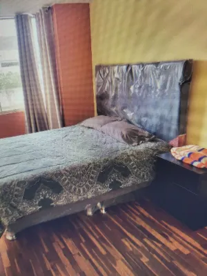 Charming 3-bedroom apartment  in marvelous Barrio Medico Surquillo with WiFi 蘇爾基約住宿飯店