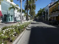 Hotel del Flores