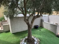 Beachfront villa 10 minutes' walk from the beach and shops