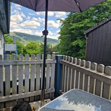 Vacation apartment WaldZeit in Hahnenklee - with dog