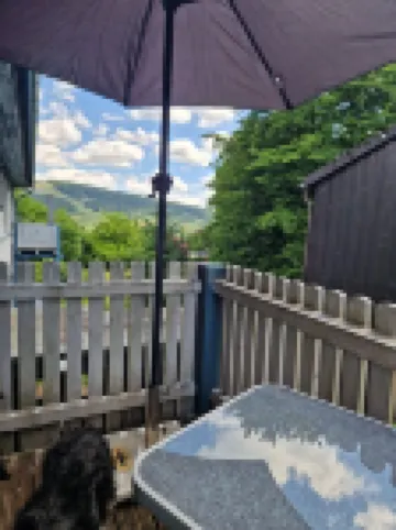 Vacation apartment WaldZeit in Hahnenklee - with dog