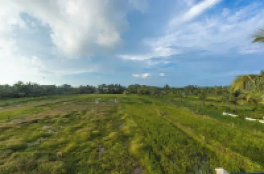 Palm Retreat 1BHK Pool & Field Views