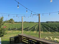 Charming Beach Cottage, Steps to Beach, Enjoy Scenic Vineyards & Farm Stands Hotels in Riverhead