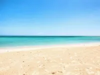 Luxury 3Br Villa I Private Pool I High-Speed Wi-Fi I Near 876 Beach Club Hotels in Coral Spring