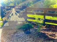 Zen Dome: Relax & Revive in the Beauty of Nature Hotels in Yancey County