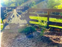 Zen Dome: Relax & Revive in the Beauty of Nature