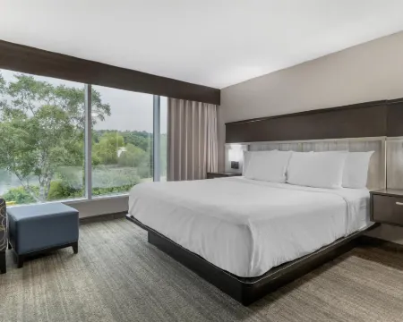 ベストウェスタン プラス チョコレート レイク ホテル ハリファックスのホテル