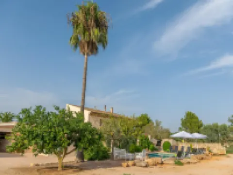 Son Indiot - Villa With Private Pool In Algaida