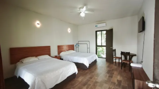 Hotel and Hostel 230 のホテル