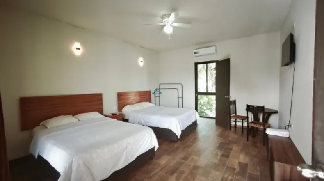 Hotel and Hostel 230